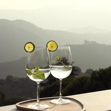 Serena